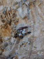 SNV80419.JPG